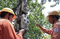 'Không đủ điện thì mới chết chứ không phải giá'