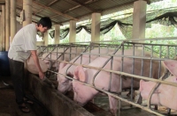 Đang đỉnh cao nhất thế giới, chỉ một cuộc họp lập tức tụt giảm