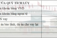 Ứng ra 97 triệu USD trả nợ 'thay' cho dự án đắp chiếu