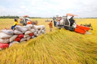 Vượt biến động tăng giá bất ngờ, thế mạnh Việt thu 3 tỷ USD