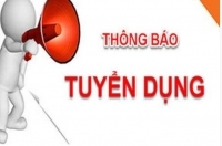 VVFC Miền Nam - Công ty Cổ phần Định giá và Dịch vụ Tài chính Việt Nam VVFC thông báo tuyển dụng